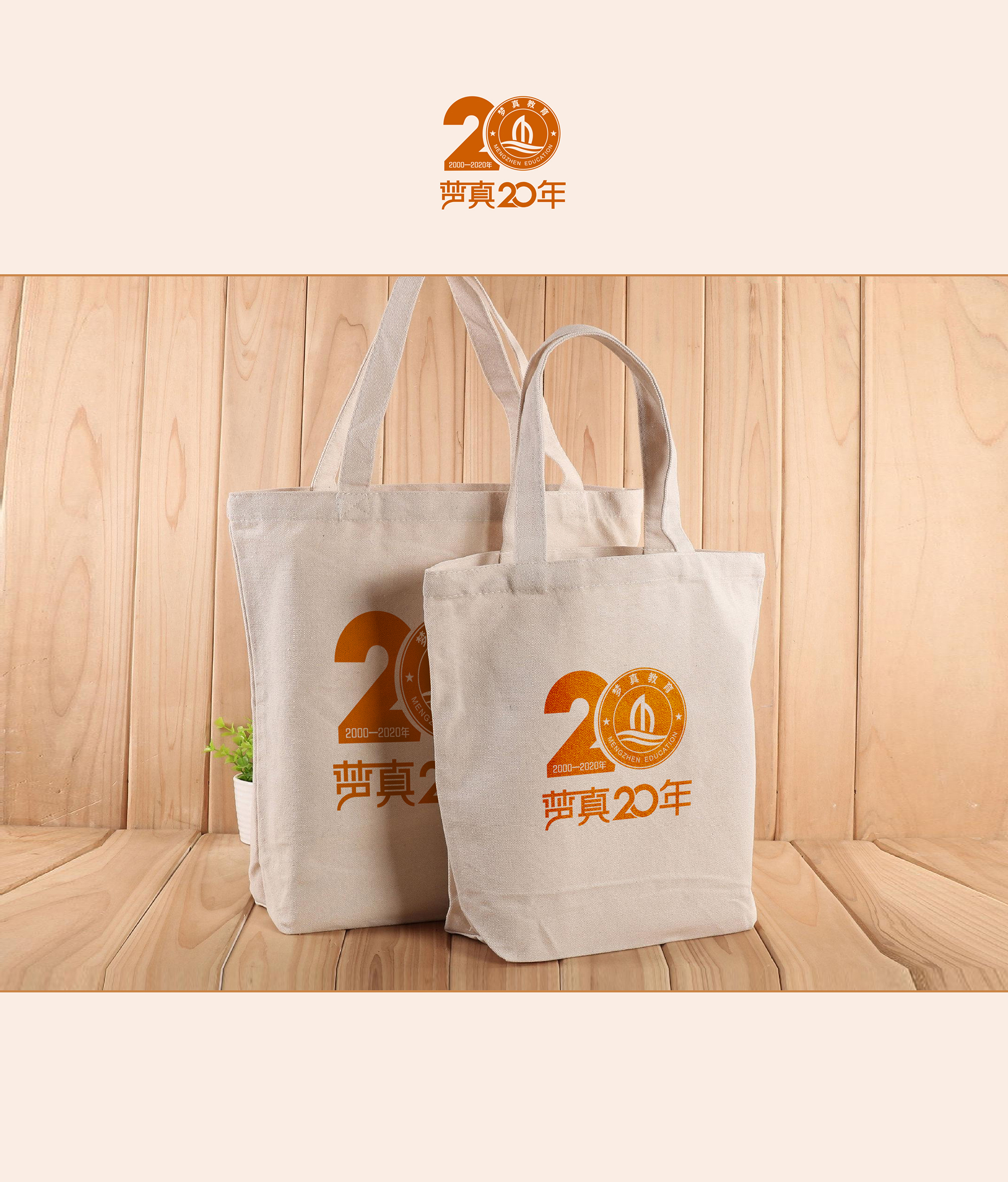 梦真20年标志.jpg